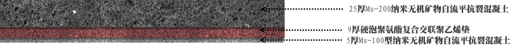 1-210Q2155444L6.png